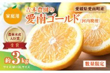 【先行予約】吉本農園の愛南ゴールド（河内晩柑）家庭用約3kg　＜柑橘 希少 果物 国産 フルーツ みかん 蜜柑  家庭用 和製 グレープフルーツ ブランド 果実 ビタミン 愛媛県 鬼北町＞ ※2025年4月上旬～8月上旬頃に順次発送予定