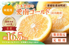 【先行予約】河内晩柑３回お届け定期便／家庭用愛南ゴールド 5.5kg×3回＜柑橘 希少 果物 国産 フルーツ みかん 蜜柑 定期便 家庭用 和製 グレープフルーツ ブランド 果実 ビタミン 愛媛県 鬼北町 ＞ ※2025年4月上旬～8月上旬頃に順次発送予定