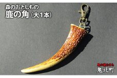 森のおとしもの(1)鹿の角（大1本）＜インテリア 民芸品 工芸品 オブジェ 天然 角 鹿 しか シカ 愛媛県 鬼北町＞