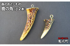 森のおとしもの(2)鹿の角（小2本）＜インテリア 民芸品 工芸品 オブジェ 角 鹿 しか シカ 愛媛県 鬼北町＞