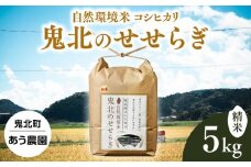 【R7年産】【自然環境米】鬼北のせせらぎ（コシヒカリ） 5kg ｜ お米 お米不足 お米品薄 おいしい お米 事業者支援 送料無料 白米 精米 国産 限定 ごはん ご飯 白飯 ゴハン 愛媛県産 鬼北町 ※2025年9月下旬頃より順次発送予定