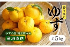 愛媛県鬼北町産ゆず　約5kg【 果物 柑橘 国産 日本産 香りが強い 良質なゆず ゆずの里 産地直送 ゆずジャム ゆず茶 】※2024年10月中旬～11月下旬頃に順次発送予定