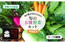 有機野菜セット＜野菜 やさい 詰め合わせ 野菜セット 旬 季節 サラダ 新鮮 産地直送 セット 愛媛県 鬼北町＞ ※離島への配送不可