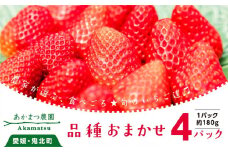 【2026年春収穫分】【先行受付】【品種お任せ】 いちご4パック ｜ レッドパール 紅い雫 紅ほっぺ かおり野 イチゴ 苺 フルーツ あかまつ農園 ※2026年2月中旬～3月中旬頃に順次発送予定