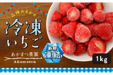冷凍いちご 品種おまかせ 1kg　あかまつ農園 ＜苺 いちご イチゴ 果物 フルーツ 農家直送 レッドパール 紅い雫 紅ほっぺ 冷凍 スムージー ジャム お菓子づくり＞