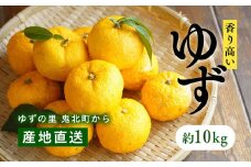 愛媛県鬼北町産ゆず　約10kg【 果物 柑橘 国産 日本産 香りが強い 良質なゆず ゆずの里 産地直送 ゆずジャム ゆず茶 】※2024年10月中旬～11月下旬頃に順次発送予定 ※離島への配送不可