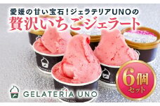 愛媛産贅沢いちごジェラート6個セット ｜ 鬼北町 あかまつ農園 レッドパール いちご 人気 ジェラート ジェラテリアUNO 手作り 高糖度 スイーツ ギフト