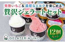 愛媛産贅沢いちご＆夕しぼりミルク使用 本格ジェラート12個セット ｜ 鬼北町 あかまつ農園 レッドパール いちご 夕しぼり らくれん ミルク 牛乳 人気 イタリアン ジェラート ジェラテリアUNO 手作り スイーツ ギフト