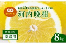 【先行予約】【家庭用】河内晩柑8kg ｜ 河内晩柑 訳あり 正品 贈答 柑橘 みかん 愛南ゴールド サイズミックス 規格外 ※離島への配送不可 ※2025年5月上旬～6月下旬頃に順次発送予定