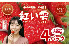 【2026年春収穫分】【先行予約】紅い雫 4パック（約720g） | いちご イチゴ 苺 大福 ジャム タルト アイス ケーキ ギフト あかまつ農園 ※離島への配送不可 ※2026年2月中旬頃より順次発送予定