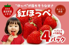 【2026年春収穫分】【先行予約】紅ほっぺ 4パック（約720g） | いちご イチゴ 苺 大福 ジャム タルト アイス ケーキ ギフト あかまつ農園 ※離島への配送不可 ※2026年2月中旬頃より順次発送予定