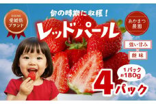 【2026年春収穫分】【先行予約】レッドパール 4パック（約720g） | いちご イチゴ 苺 大福 ジャム タルト アイス ケーキ ギフト あかまつ農園 ※離島への配送不可 ※2026年2月中旬頃より順次発送予定