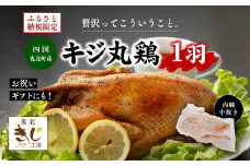＜ふるさと納税限定＞きじ丸鶏1羽（約900g） ◇ ｜ キジ肉 雉 きじ キジ ジビエ とり 鶏肉 パーティー ムネ モモ ササミ 秋 冬 熟成 加工品 愛媛県 鬼北町　※離島への配送不可