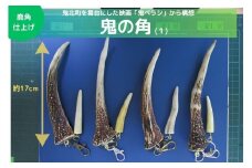 【鬼ベラシ】鬼の角(1)（鹿角仕上げ）キーホルダー ※離島への配送不可