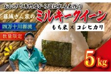 【おにぎり専門店御用達！】藤城さん家のミルキークイーン5kg【令和7年産】 ｜ ご飯 白米 お米 5kg 令和7年 定期便 令和7年産 精米済み 愛媛県鬼北町　※2025年9月下旬頃より順次発送予定