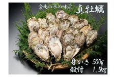 愛南かき(むき身500g・殻付1.5kg) 発送期間：1月10日～3月末
