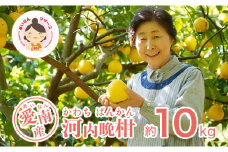 あいなんマザーズの河内晩柑10kg 発送期間：4月中旬～7月上旬 (なくなり次第終了)