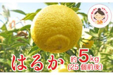 あいなんマザーズのはるか 5kg 発送期間：1月中旬～３月中旬