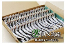 ウルメ丸干し 14～15尾 5～6竿 鰯 いわし おつまみ 珍味 魚 海鮮 グルメ ギフト 酒 ビール 日本酒 焼酎 贈り物 国産 愛媛 愛南町