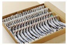 ウルメいわし タレ・丸干しセット 14～18尾 5パック 鰯 いわし おつまみ 珍味 グルメ 魚 海鮮 ギフト 酒 ビール 日本酒 焼酎 贈り物 国産 愛媛 愛南町