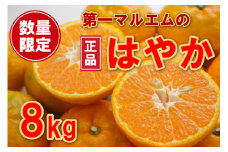 数量限定 先行予約 早香 はやか 秀品 8kg 第一マルエム 柑橘 フルーツ 愛媛みかん ポンカン 文旦 ぶんたん 河内晩柑 温州みかん ブラッド オレンジ ネーブル せとか なつみ 蜜柑 みかん レモン 檸檬 果物 果実 ジューシー 甘い 糖度 ギフト プレゼント 贈答 贈り物 国産 産地 直送 美容 健康 クエン酸 ビタミン ジュース ゼリー 愛媛県 愛南町  
