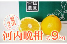 【廃盤】愛南育ち 吉田農園 愛南産の河内晩柑9kg (なくなり次第終了)