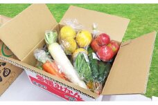 取りたて新鮮！旬の野菜詰め合わせセット