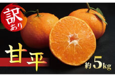 甘平 5kg 発送期間：2024年2月下旬～3月中旬