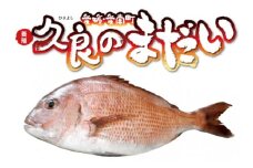 久良 の まだい 2尾 合計 3kg 以上 15000円 真鯛 たい タイ 2匹 刺身 刺し身 養殖 取り寄せ お取り寄せ 鮮魚 冷蔵 鍋 お造り 魚 海鮮 鮮魚 海鮮鍋 鯛 マダイ 年末年始 お祝い 父の日 母の日 敬老の日 誕生日 米寿 紅白 お正月 めでたい 久良漁業協同組合 愛南町 愛媛県