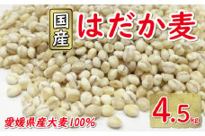 はだか麦 900g 5個セット 10000円 国産 大麦 麦 麦ごはん むぎごはん 水溶性 食物繊維 腸内環境 ダイエット 健康 マルヤス味噌 愛南町 愛媛県