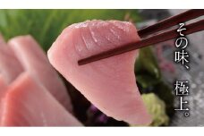 愛媛県産養殖「媛スマ」 1.7～1.8kg前後　発送期間：12月１日から順次発送