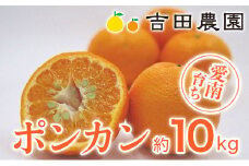 先行予約 愛南育ち ポンカン 約10kg みかん 蜜柑 オレンジ 温州みかん 文旦 河内晩柑 デコポン 不知火 せとか 紅まどんな なつみ はるか レモン ブラッドオレンジ  ネーブル 果物 果実 フルーツ ゼリー ジュース 甘い ジューシー 愛媛県 愛南町 吉田農園 
