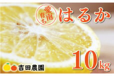 【2026年2月中旬頃発送】【先行予約】先行予約 はるか 10kg 15000円 みかん 国産 産地直送 農家直送 期間限定 数量限定 ビタミン 特産品 人気 限定 さわやか 甘い フルーツ 果物 果実 柑橘 蜜柑 糖度 果樹園 おいしい 愛媛 みかん ブランド オレンジ 大小 サイズ ミックス ゼリー ジュース ハニーレモン 風味 スマイルカット 愛南町 愛媛県 吉田農園