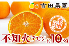 愛南育ち 吉田農園 不知火（デコポン） 約10kg 発送期間：3月下旬～4月中旬
