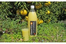 愛南育ち！ はるかジュース3本セット あいなんマザーズ 発送期間：2023年4月～