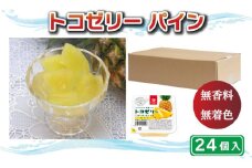 トコゼリーパイン ２４個入り マルヤス食品