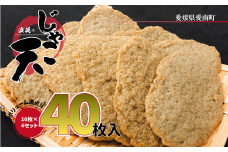 浜英の じゃこ天 40枚 練り物 おつまみ 魚 冷蔵 惣菜 フライ おでん 具 出汁 だし 10枚ずつ 小分け 浜英水産 愛媛県 愛南町
