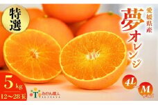 【特選品】みかん職人の夢オレンジ５kg まどんな 愛果28号 柑橘 果物 フルーツ 愛媛 みかん職人 武田屋 蜜柑 大小ミックスサイズ 糖度 センサー 計測 規準 甘い 甘さ みかん かんきつ らんきんぐ 柑橘 冬 旬 食べごろ 農家 農家直送 農園 人気 農家直送 地場産品 みかん職人 職人 武田屋 産直 みかん職人武田屋 愛媛県 愛南町