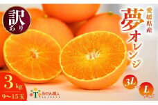 【訳あり】みかん職人の夢オレンジ 3kg 柑橘 果物 フルーツ 愛媛 みかん職人武田屋 蜜柑 愛果28号 愛媛果試第28号 まどんな 大小ミックスサイズ 糖度 センサー 計測 規準 甘い 甘さ みかん かんきつ 柑橘 冬 旬 食べごろ 農家 農家直送 農園 人気 みかん職人 武田屋 産直 みかん職人武田屋 愛媛県 愛南町