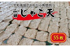 山田のじゃこ天 55枚 じゃこ天 すり身 さつま揚げ 郷土料理 おつまみ 肴 魚肉練り製品 揚げかまぼこ 愛媛県 南予 愛南町 特産品 お取り寄せ 送料無料 おいしい