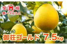 先行予約 第一マルエムの御荘ゴールド（愛南町産の河内晩柑）7.5kg 柑橘 フルーツ 愛媛みかん ポンカン 文旦 河内晩柑 温州みかん ブラッド オレンジ ネーブル せとか なつみ 蜜柑 みかん 檸檬 果物 果実 ジューシー 数量限定 さっぱり 愛媛県 愛南町