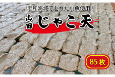 山田のじゃこ天 85枚 じゃこ天 すり身 さつま揚げ 郷土料理 おつまみ 肴 魚肉練り製品 揚げかまぼこ 愛媛県 南予 愛南町 特産品 お取り寄せ 送料無料 おいしい