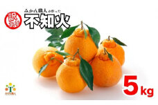 先行受付 訳あり 不知火 5kg  【発送期間：2月中旬～なくなり次第終了 】 しらぬい かんきつ 柑橘 みかん 蜜柑 でこぽん おやつ きず 傷 ふぞろい 不揃いフルーツ 果物 くだもの 果実 愛媛県 愛南町 みかん職人武田屋