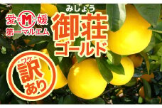 先行予約 訳あり 第一マルエムの御荘ゴールド（河内晩柑）7.5kg 柑橘 フルーツ 愛媛みかん ポンカン 文旦 河内晩柑 温州みかん ブラッド オレンジ ネーブル せとか なつみ 蜜柑 みかん 檸檬 果物 果実 ジューシー 数量限定 さっぱり 愛媛県 愛南町