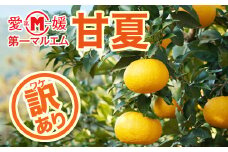先行予約 訳あり 第一マルエム の 甘夏 10㎏ 柑橘 フルーツ 愛媛みかん ポンカン 文旦 河内晩柑 温州みかん ブラッド オレンジ ネーブル せとか なつみ 蜜柑 みかん 檸檬 果物 果実 ジューシー 数量限定 さっぱり 甘い 愛媛県 愛南町