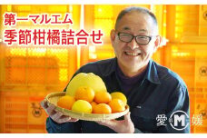 第一マルエムの季節柑橘詰合せ（５～８kg）発送期間：1月上旬～3月下旬