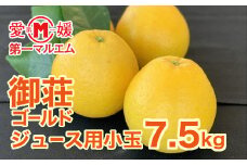先行予約 第一マルエムの御荘ゴールド（愛南産の河内晩柑）ジュース用 小玉 7.5kg 柑橘 フルーツ 愛媛みかん ポンカン 文旦 河内晩柑 温州みかん ブラッド オレンジ ネーブル せとか なつみ 蜜柑 みかん 檸檬 果物 果実 ジューシー ピール ジャム 数量限定 さっぱり 愛媛県 愛南町