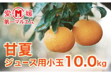 先行予約 第一マルエム の 甘夏 ジュース用小玉　約10㎏ 柑橘 フルーツ 愛媛みかん ポンカン 文旦 河内晩柑 温州みかん ブラッド オレンジ ネーブル せとか なつみ 蜜柑 みかん 檸檬 果物 果実 ジューシー ピール ジャム 数量限定 さっぱり 甘い 愛媛県 愛南町