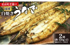 手焼き うなぎ 白焼 約120g × 2本 魚 鰻 冷凍 父の日 土用の丑の日 老舗 亀一 愛媛県 愛南町