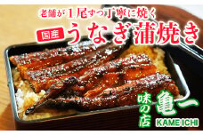 手焼き うなぎ 蒲焼き 約120g × 1本 魚 鰻 海鮮 タレ 蒲焼 ひつまぶし  冷凍 父の日 土用の丑の日 ギフト 国内産 贈り物 お歳暮 老舗 亀一 愛媛県 愛南町